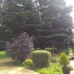 Cherry Garden photo 8