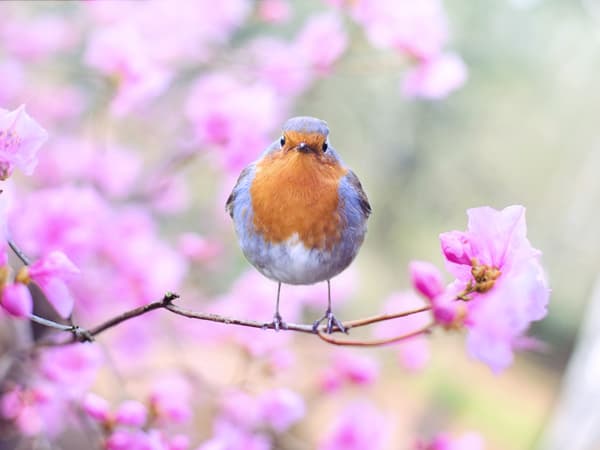 Community of St Mary at the Cross photo 2