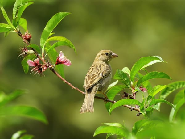 Community of St Mary at the Cross photo 3