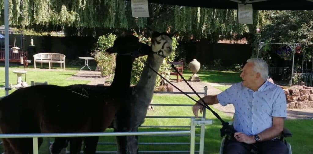 The Rylands Nursing and Residential Home photo 5