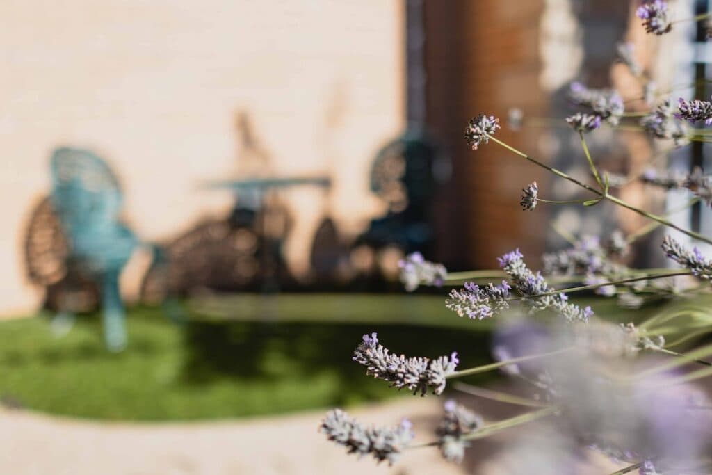 The Callywhite Care Home photo 3