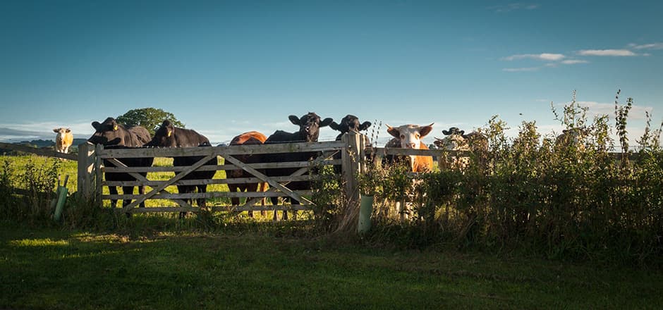 Woodland Residential Care Home Limited photo 2