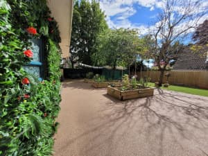 Butterfly House photo 5