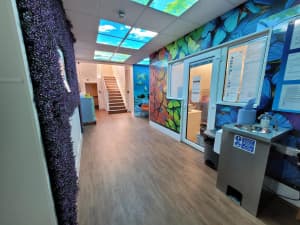 Butterfly House photo 10