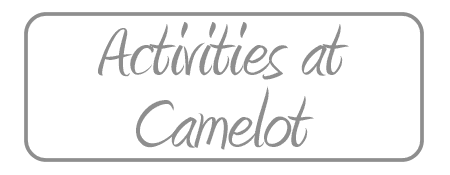 Camelot Nursing and Residential Care Home photo 6