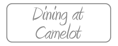 Camelot Nursing and Residential Care Home photo 3