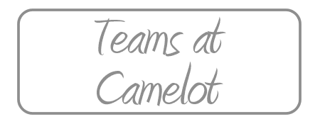 Camelot Nursing and Residential Care Home photo 4