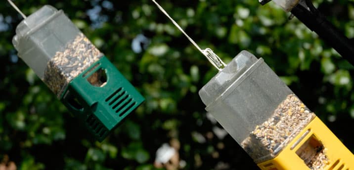 Carlton Care Home photo 5