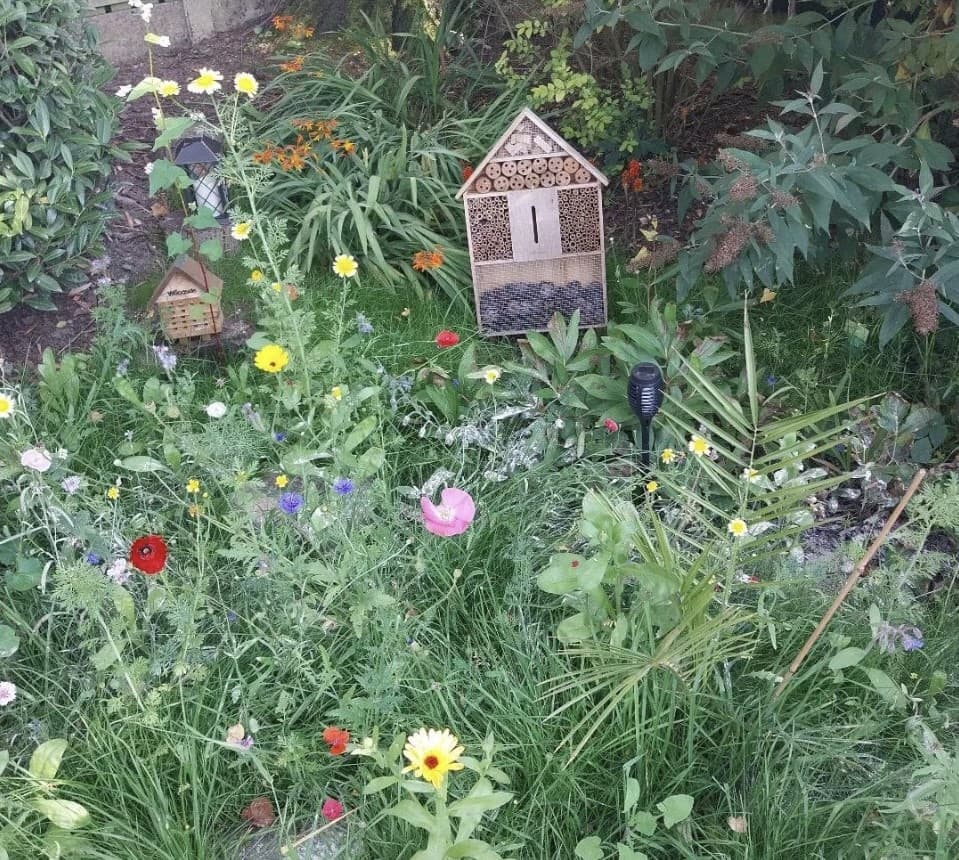 Alder Grange photo 6