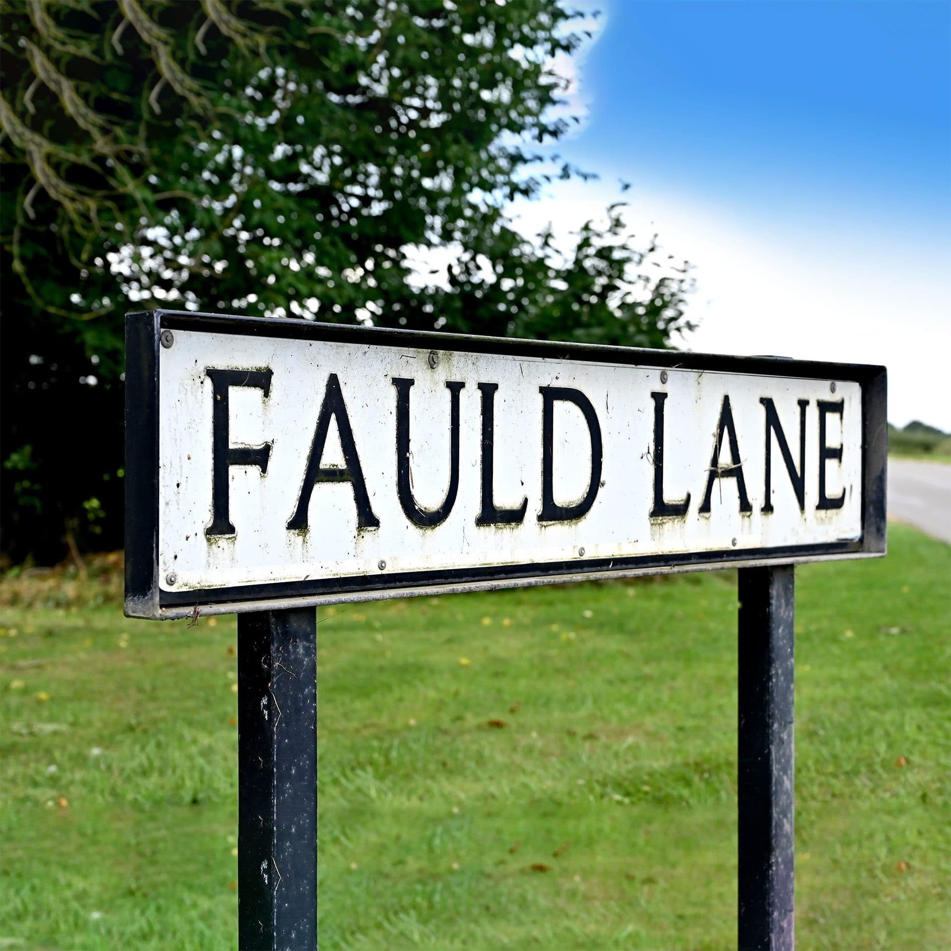 Fauld House Nursing Home photo 7