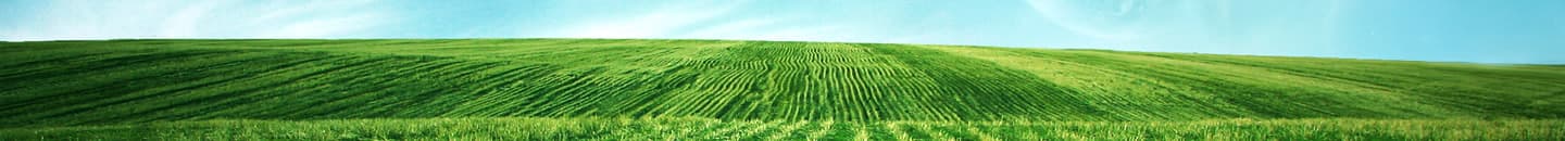 Gracefield Health Care Limited (GHC) - 31 St Domingo Grove photo 5