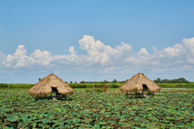 Wallfield House photo 5