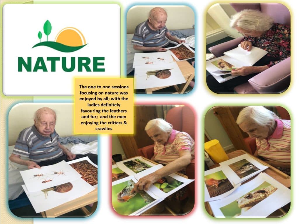 Weymouth - Weymouth Care Home photo 5