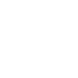 Hampton Manor photo 1