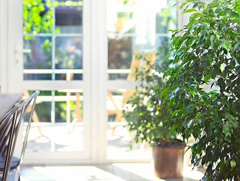 Inwood House photo 12