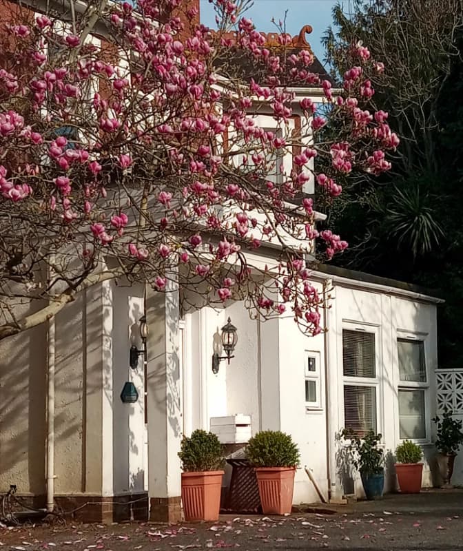 Aveland Court Care Home photo 3