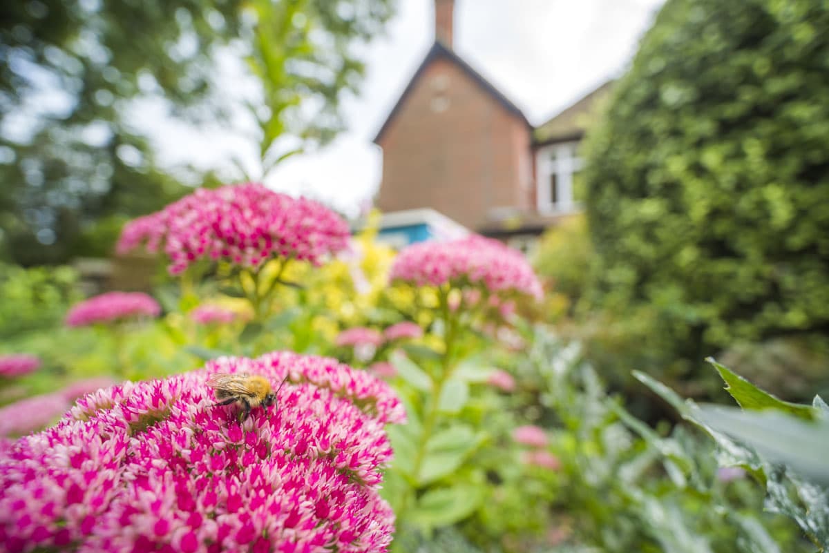 Avon Lee Lodge photo 2