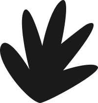 Belsfield House photo 6