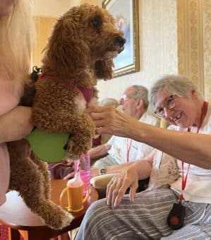 Bricklehampton Hall photo 7