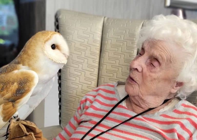 The Cambridgeshire Care Home photo 4