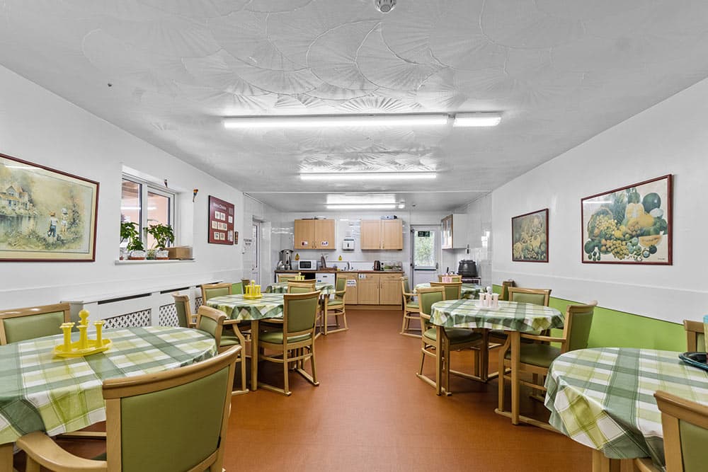 Camellia House photo 3