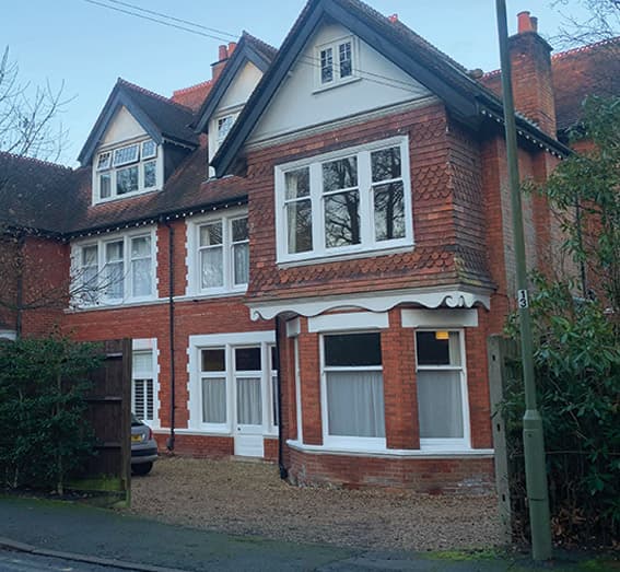 The Conifers photo 3