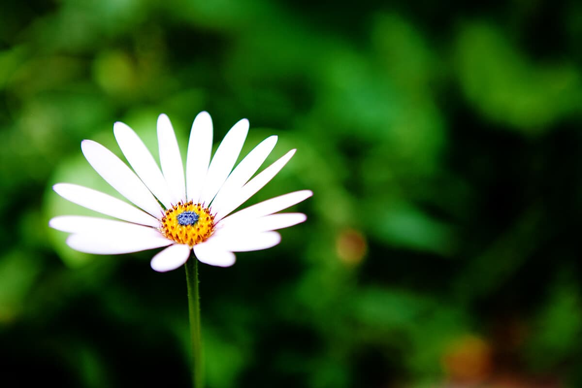 Sunny Bank PRS photo 12