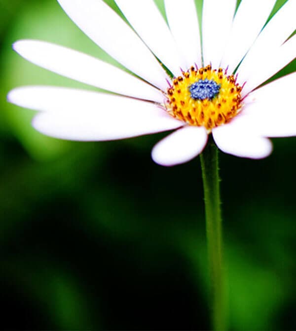 Sunny Bank PRS photo 4