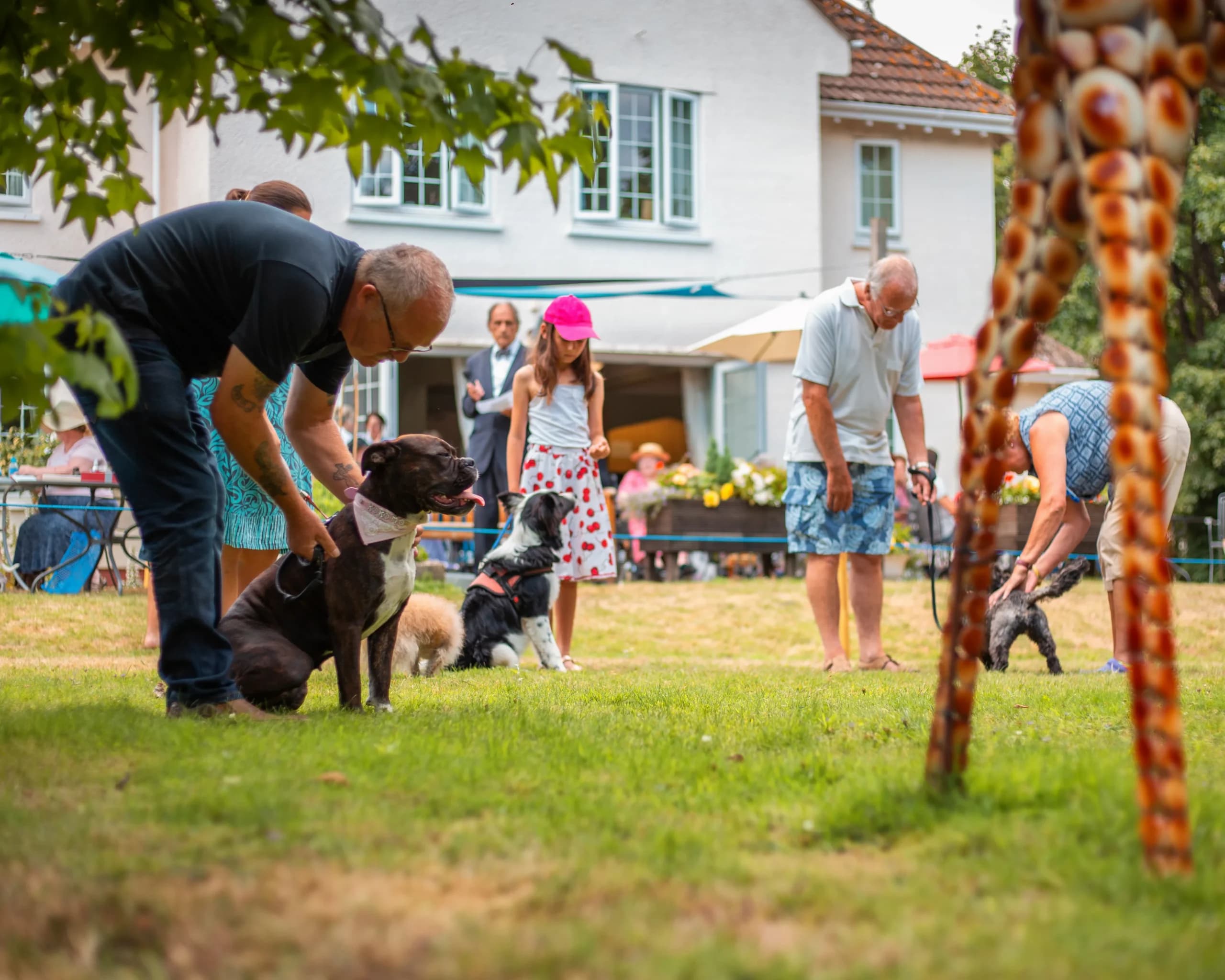 Chelston Park Nursing and Residential Home - Chelston Gardens Dementia Nursing Home photo 3