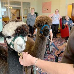 Clifftop Care Home photo 3