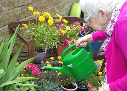 Belmont House photo 5