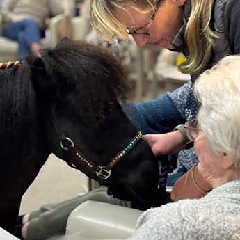 The Grove Care Home photo 5