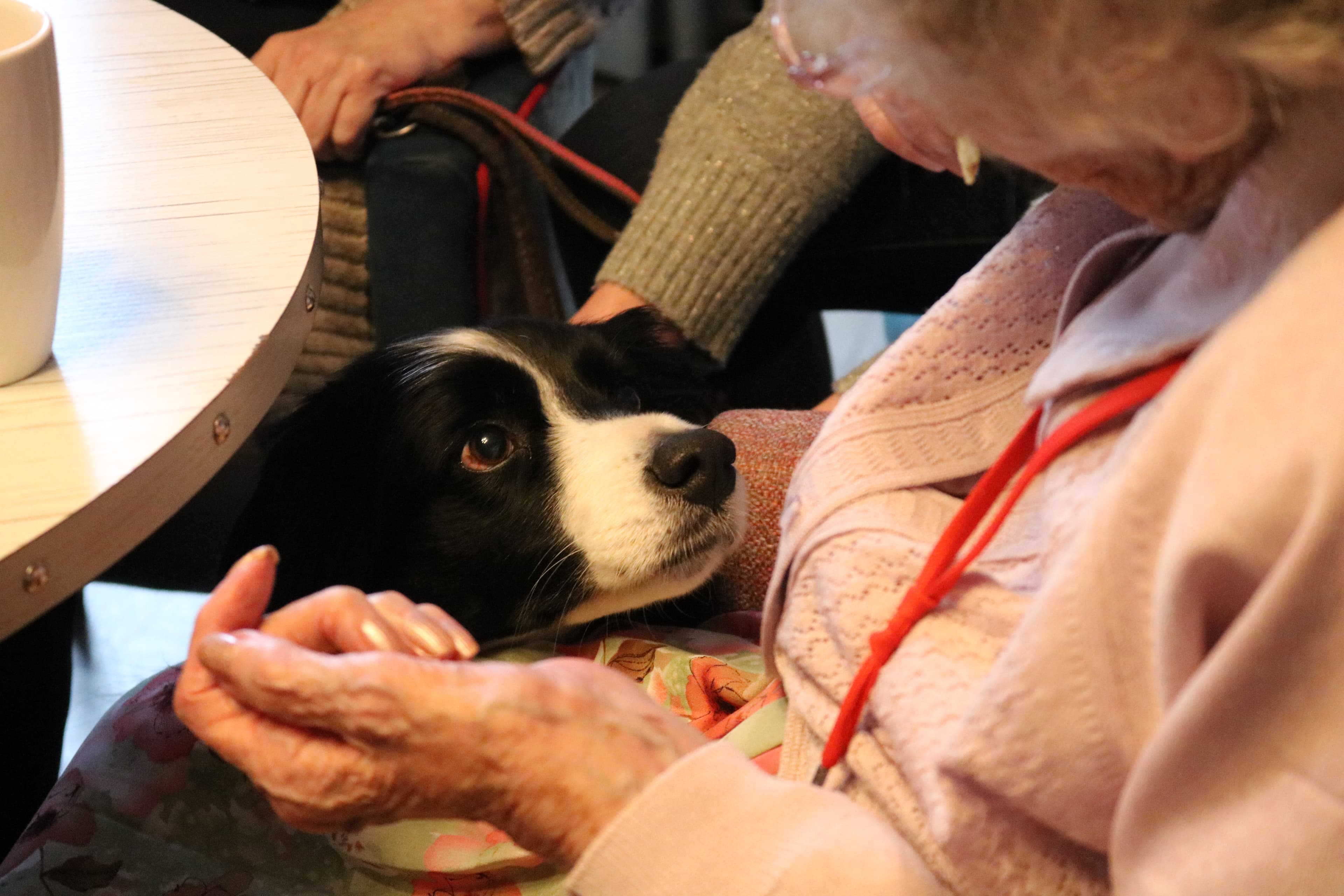 Stanton Court photo 4