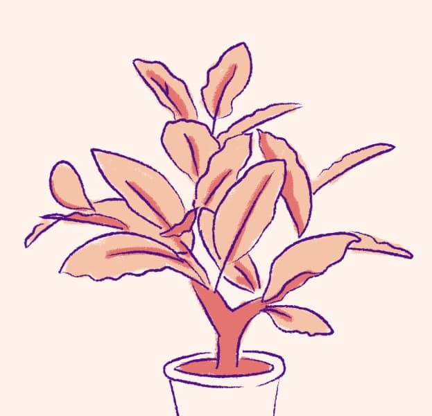 Tallington Lodge Care Home photo 12