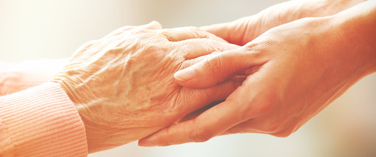 Holywell House Care Centre photo 5