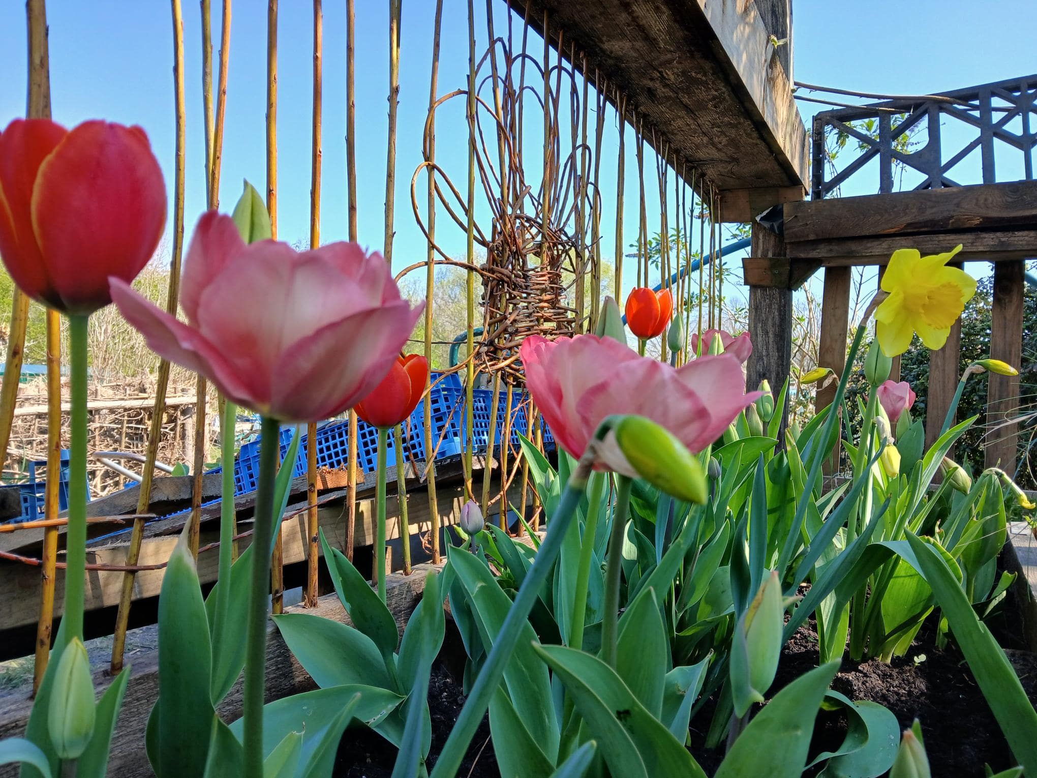 Crossways Community photo 5