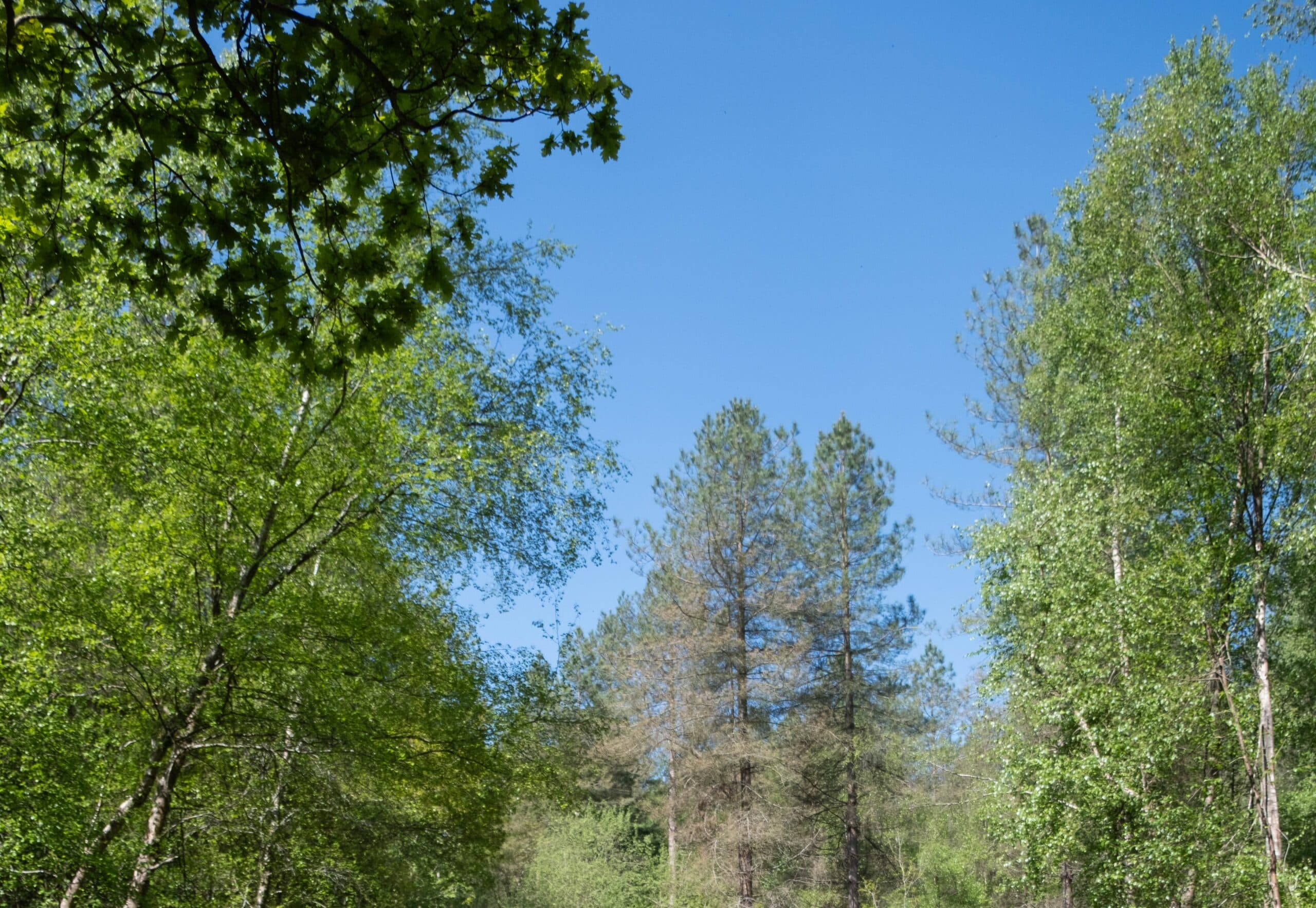 Crossways Community photo 4