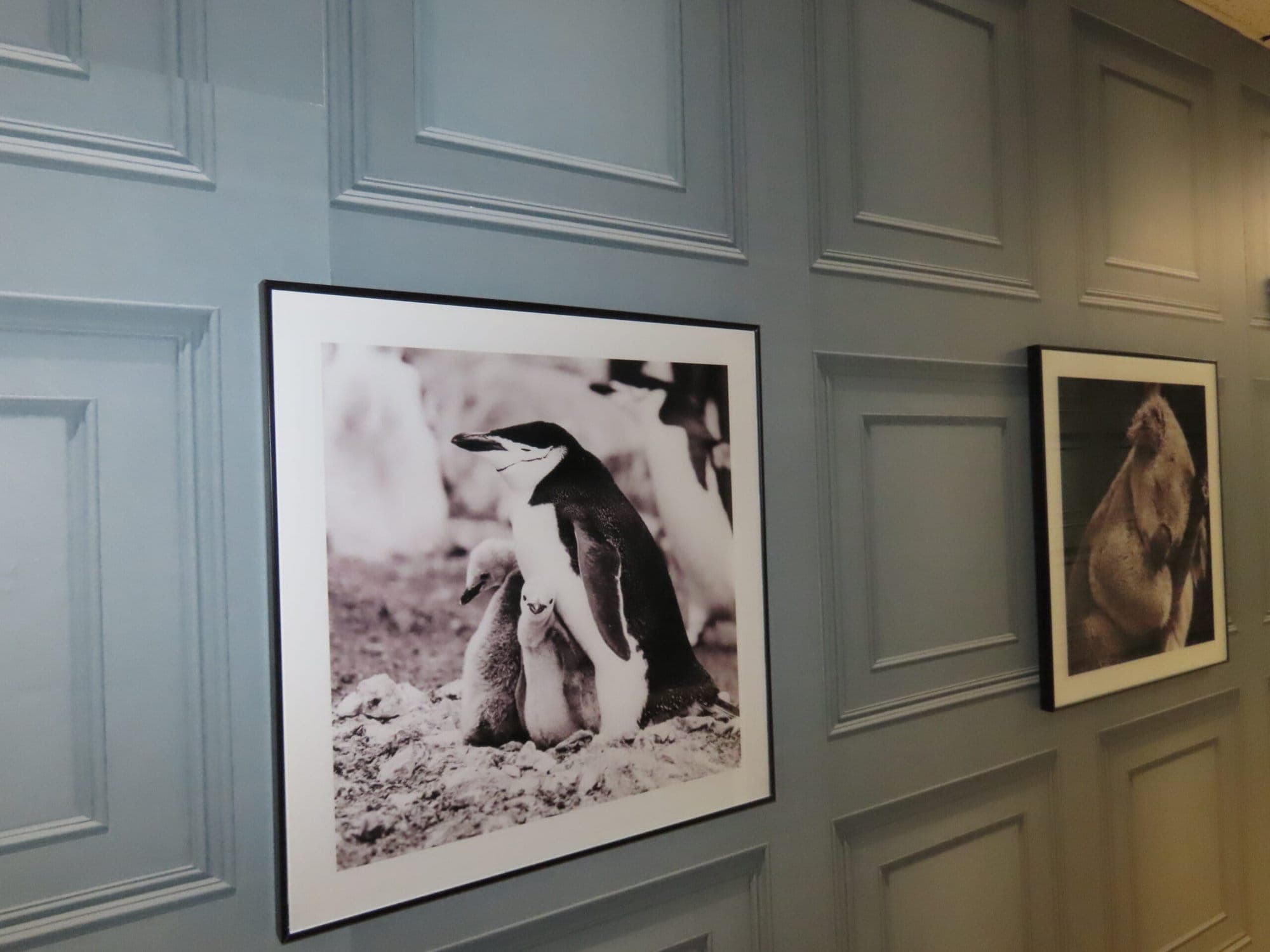 Courtfield Lodge photo 2