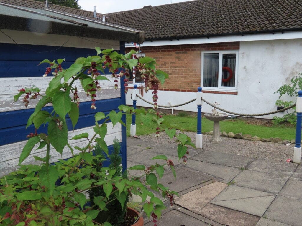 Old Gates Care Home photo 8