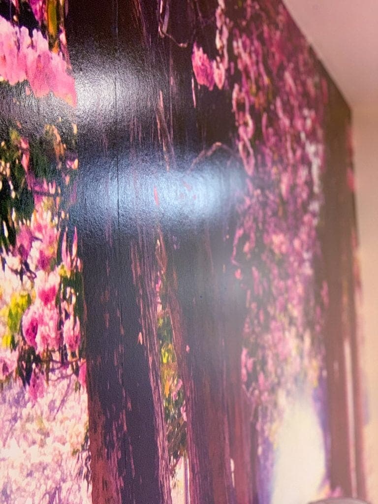 Riversdale Nursing Home photo 8