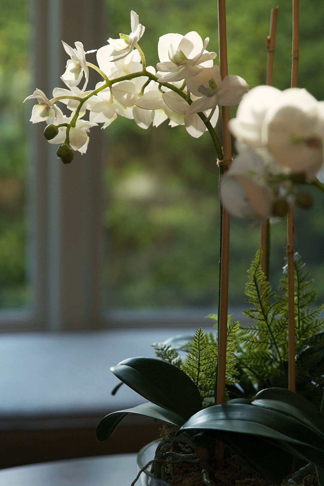 Denville Hall photo 12