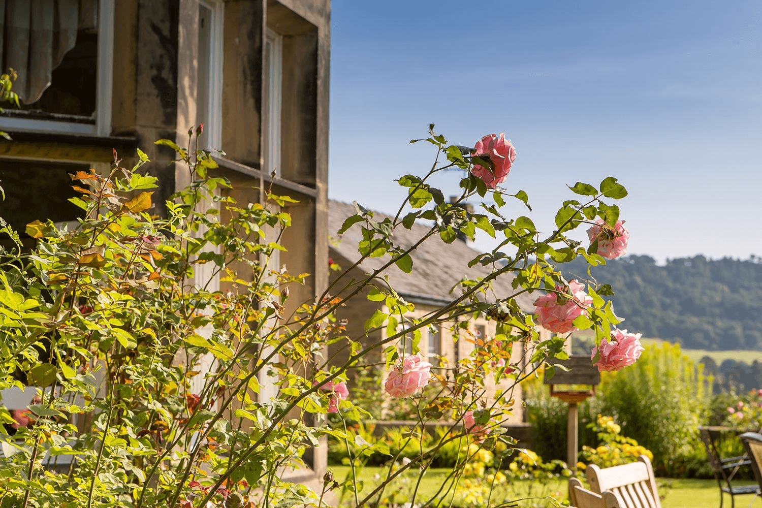 The Old Vicarage photo 11