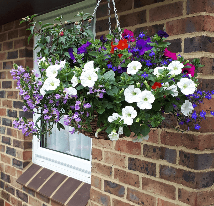 Eleanor Palmer Trust Home photo 7