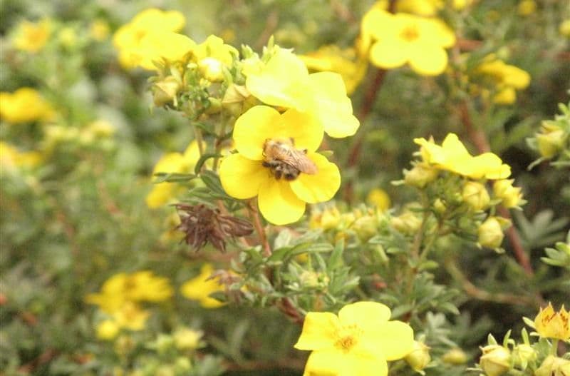 Eleanor Palmer Trust Home photo 8