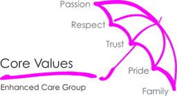 Enhanced Elderly Care Service - Fellingate Care Centre Limited