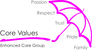 Enhanced Elderly Care Service - Fellingate Care Centre Limited