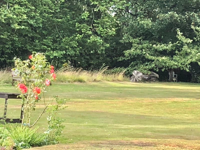 Foxleigh Grove Nursing Home photo 9