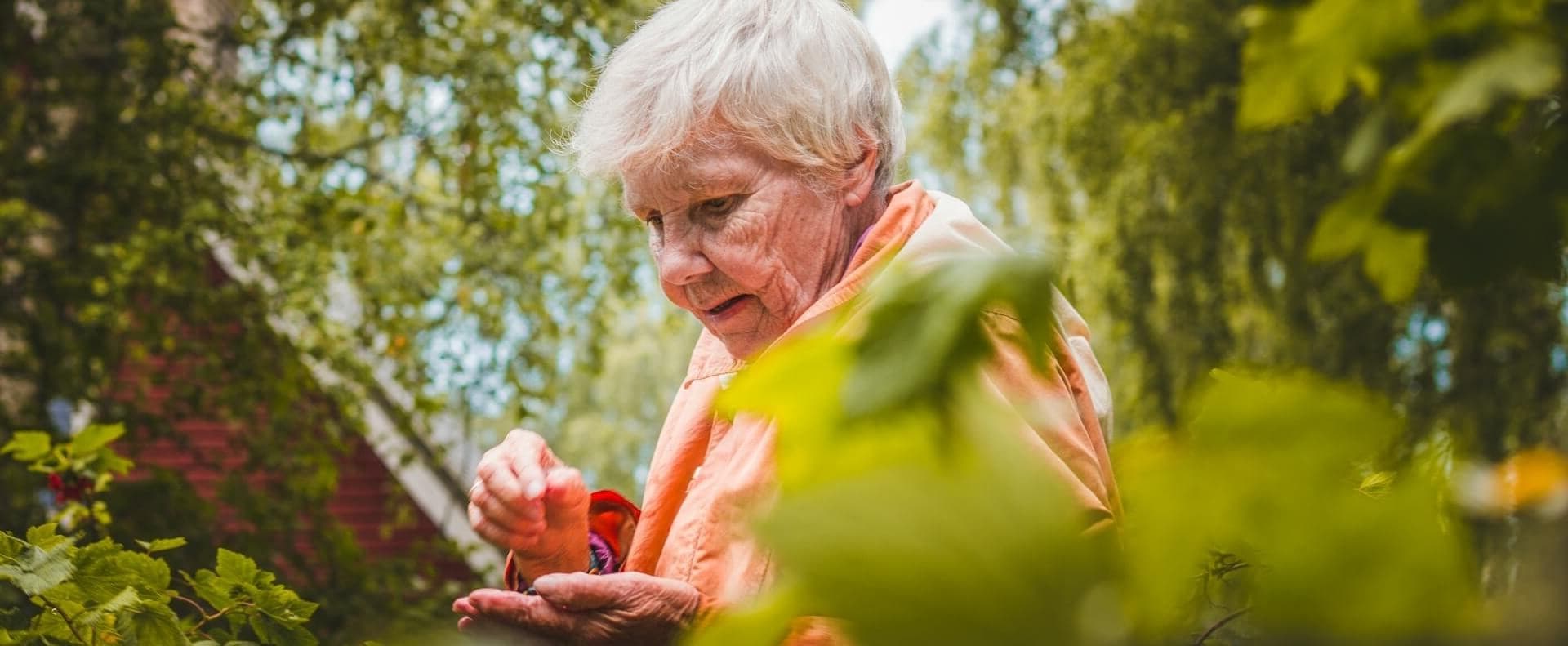 Harrington Care Homes (Aylesbury) Ltd photo 2