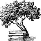 High Broom Care Home photo 11