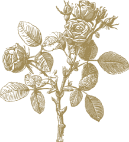 High Broom Care Home photo 7